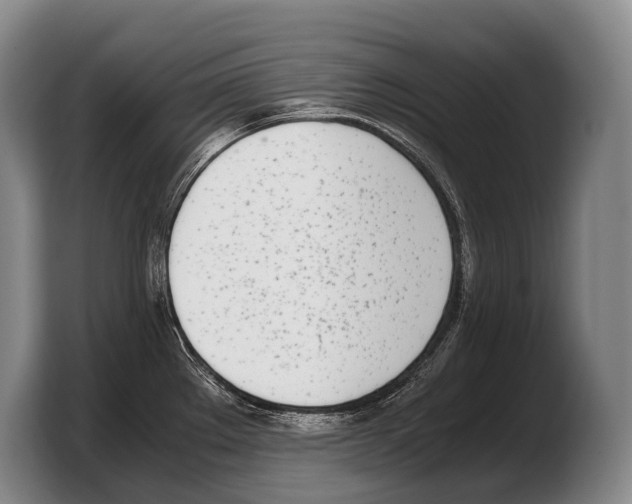 X0000103331289200810061007