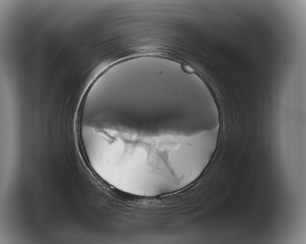 X0000103331291200810061007