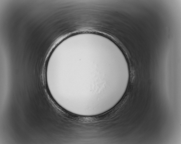 X0000103331295200810061007