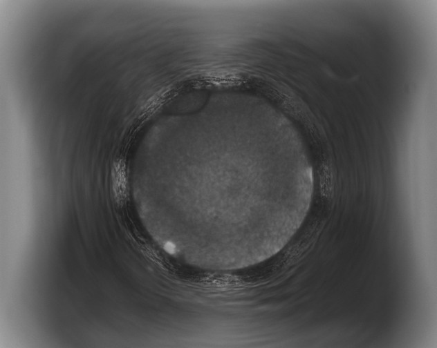 X0000103331298200810061006