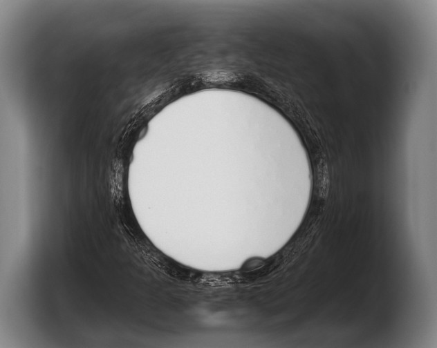 X0000103331301200810061006