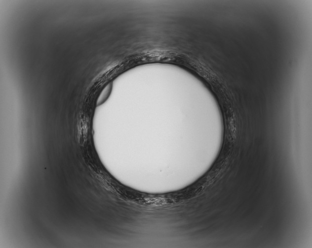 X0000103331302200810061006