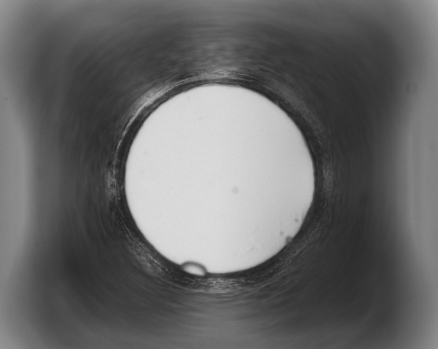 X0000103331308200810061006