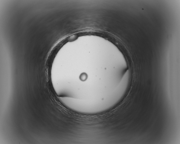 X0000103331310200810061006