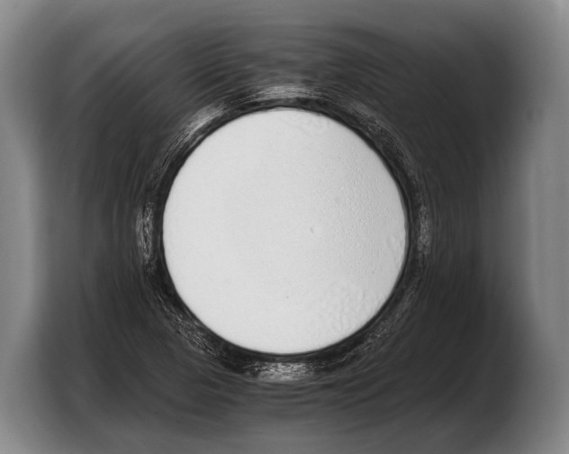 X0000103331313200810061007