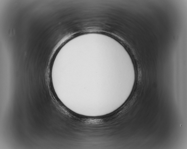 X0000103331325200810061007