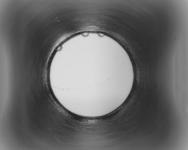 X0000103331326200810061007