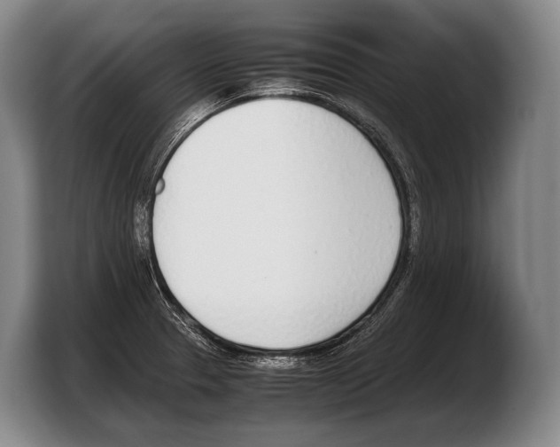 X0000103331329200810061007