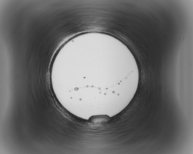 X0000103331332200810061007