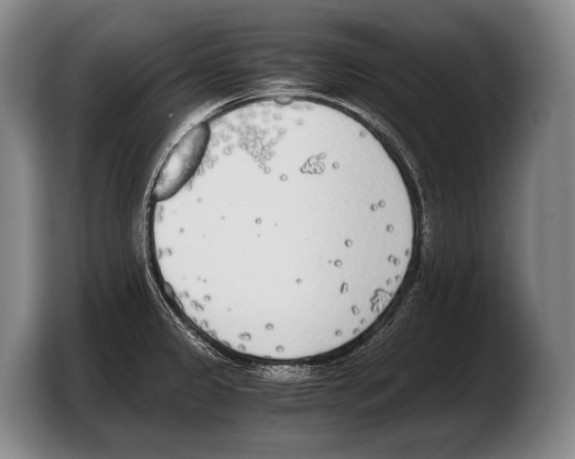 X0000103331333200810061007