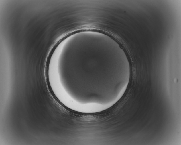 X0000103331334200810061007