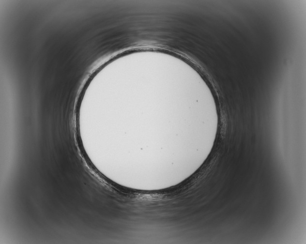 X0000103331335200810061007