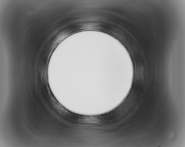 X0000103331338200810061007