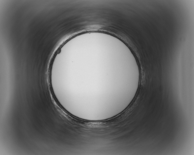 X0000103331342200810061007