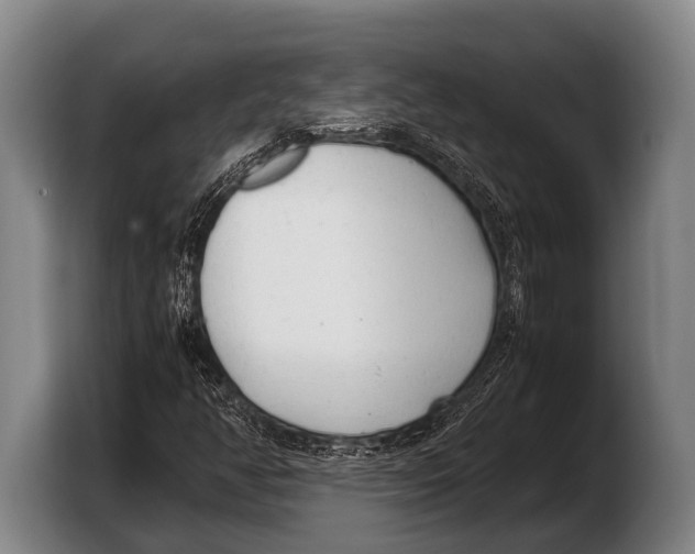 X0000103331350200810061006