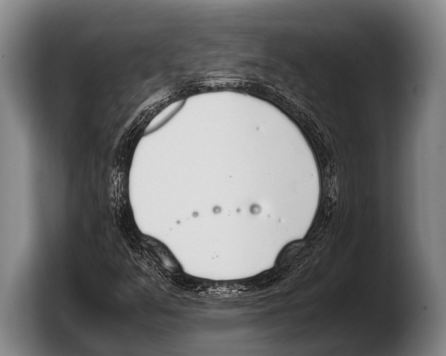 X0000103331351200810061006