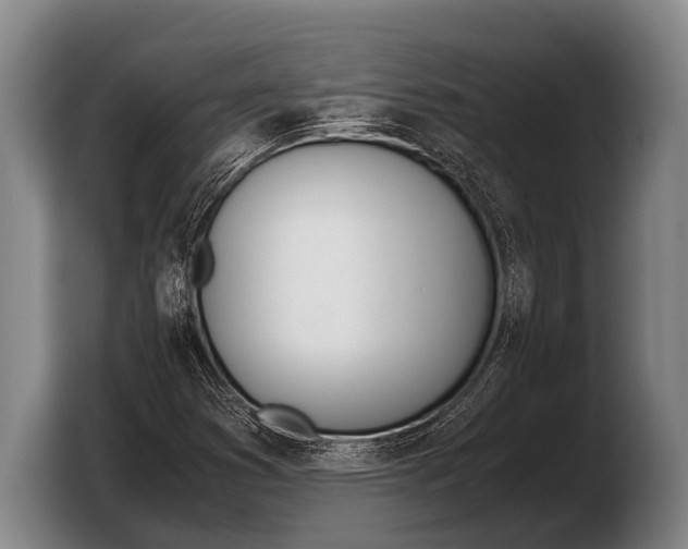 X0000103331353200810061006