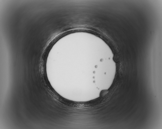 X0000103331360200810061006