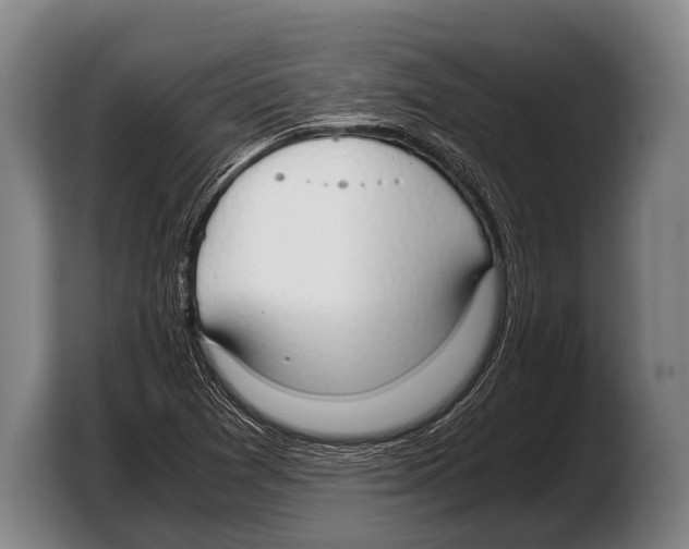 X0000103331361200810061006