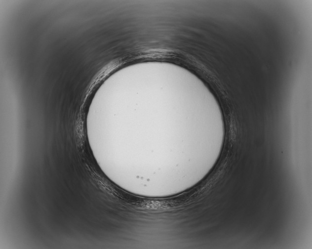 X0000103331362200810061006