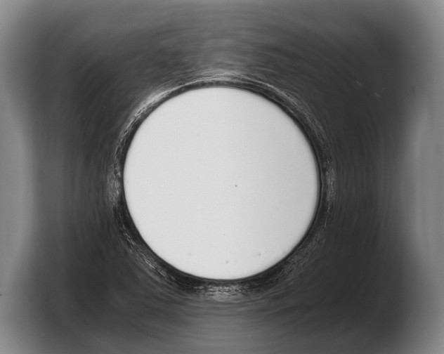 X0000103331363200810061006