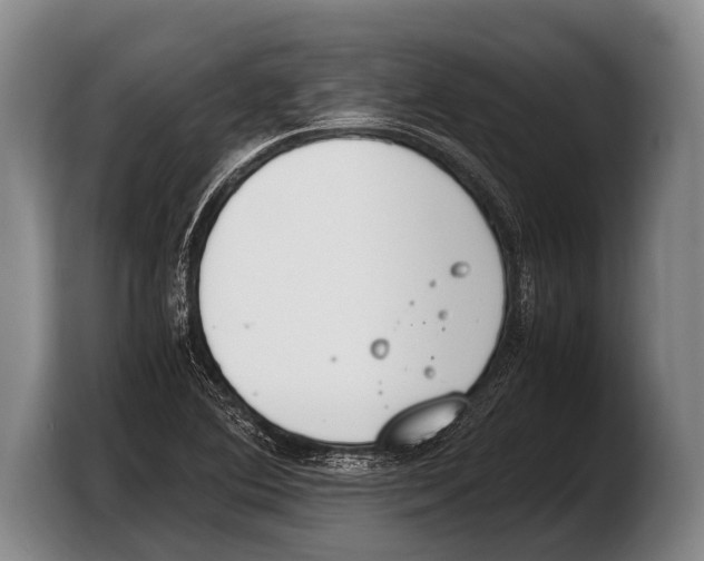 X0000103331364200810061006