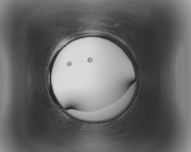 X0000103331365200810061006