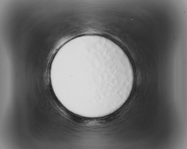 X0000103331367200810061006