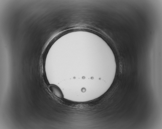 X0000103331368200810061006