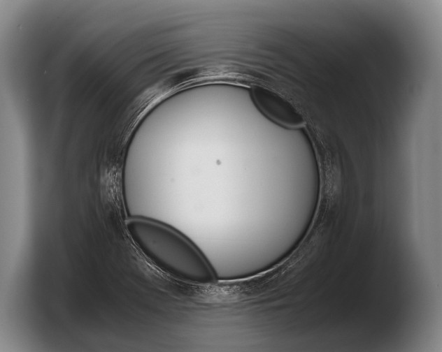 X0000103331369200810061006