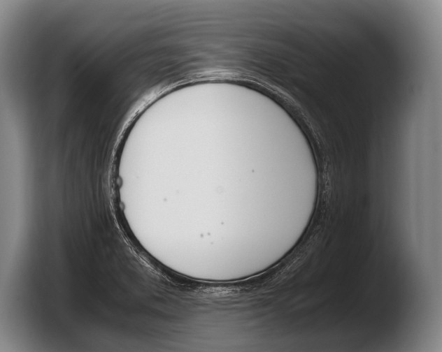 X0000103331373200810061006