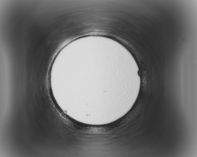 X0000103331375200810061006