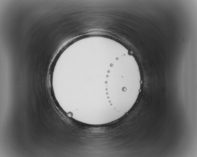 X0000103331376200810061006