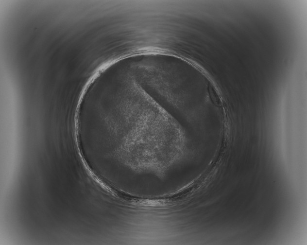 X0000103331381200810061006