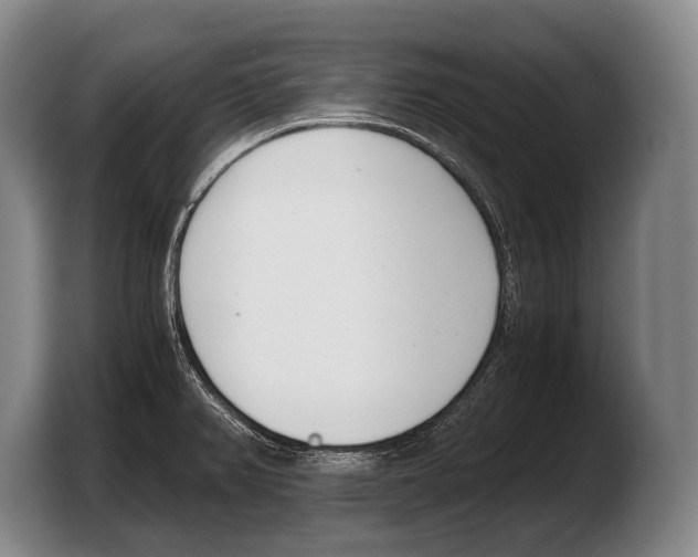 X0000103331382200810061006