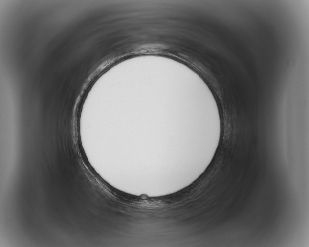 X0000103331384200810061006