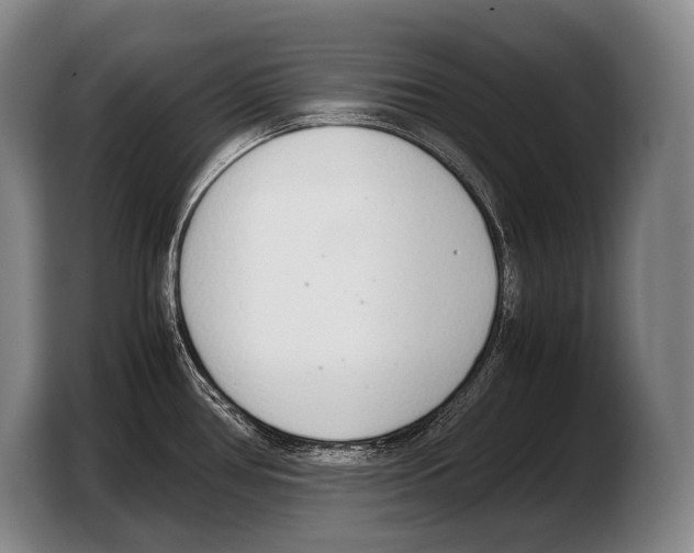 X0000103331386200810061006