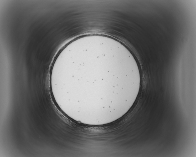 X0000103331388200810061006