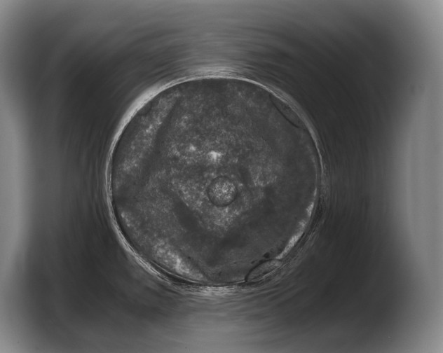 X0000103331389200810061006