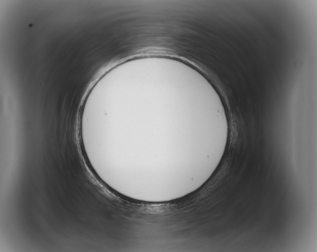 X0000103331390200810061006