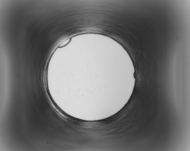 X0000103331391200810061006