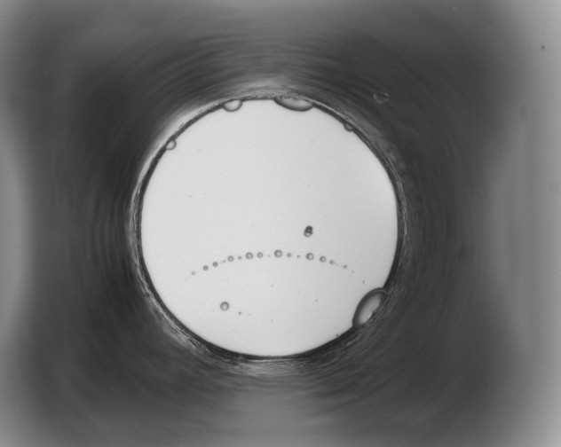 X0000103331392200810061006