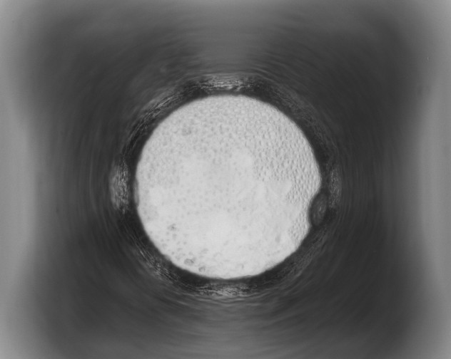 X0000103331394200810061005