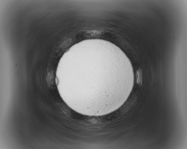 X0000103331395200810061005