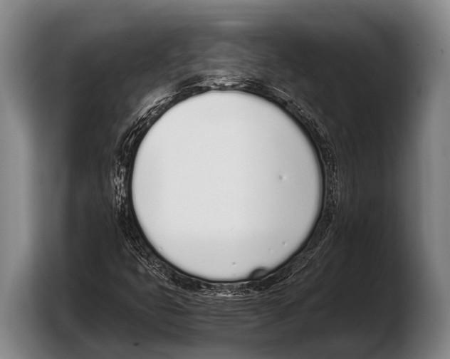 X0000103331399200810061005