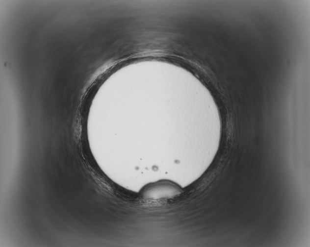 X0000103331406200810061005