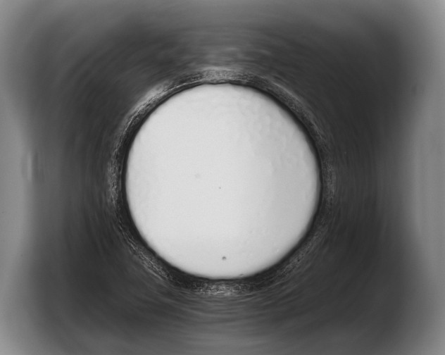 X0000103331411200810061005