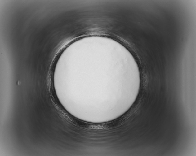 X0000103331415200810061005