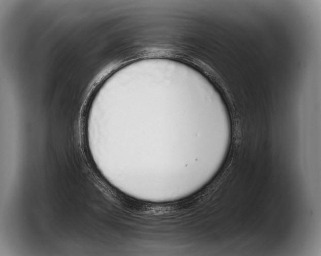 X0000103331419200810061005