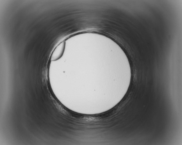 X0000103331420200810061005